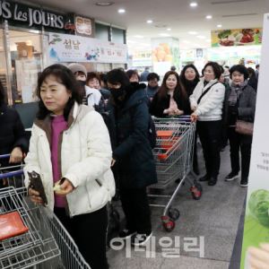 [포토] 제주 달코미 양배추 공동구매                                                                                                                                                                      