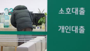 수백억 부동산 매매했는데 대출이 안 나온다면[똑똑한부동산]