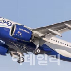 "4000편 넘게 결항" 인도 최대 항공사, 역대 최대 36억원 과징금