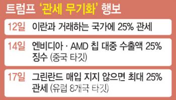 이란도 그린란드 지지국도 십자포화…트럼프, 민감 사안마다 관세 폭탄 휘둘러