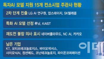 패자부활전 꺼낸 '국대AI'…'탈락 꼬리표' 부담에 스타트업 신중