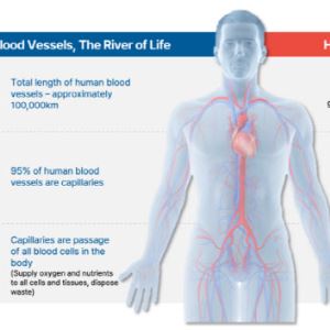 “나빠져야 할 신장이 좋아졌다”…큐라클 당뇨병성신증 신약, ‘역주행’ 판가름 2b상