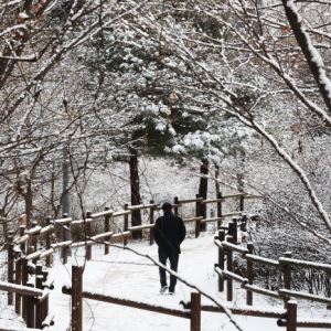 1주만에 20도 가까이 뚝…오락가락 겨울 왜 그럴까