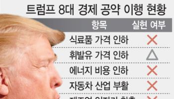 "증시만 호조, 정치는 위기" 외신들이 본 트럼프 집권 2기 1년