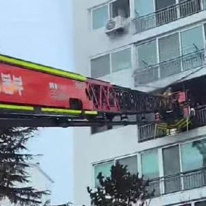 '거실 진입 불가' 외벽 타고가 딸들 구조한 어머니