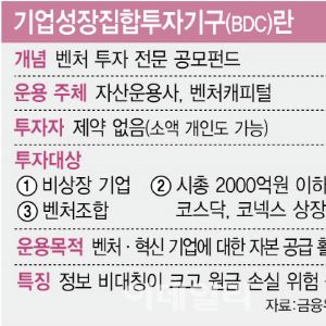 개미에 기회 열린 비상장벤처 투자…사업성 의구심에 미적대는 금융권