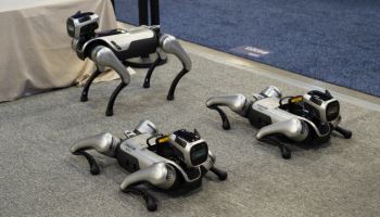 1억짜리 로봇개, 中은 400만원에 팔아…'SW' 선도해야 이길 수 있어