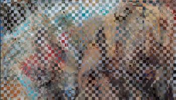 어른거리는 형체? 진짜는 속이 아니다 '겉'이다 [e갤러리]