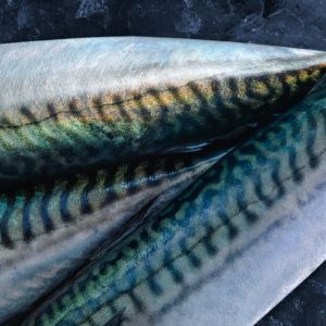 “없어서 못 판다”…노르웨이산 고등어 귀해지는 이유