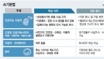 [해설] 자율주행 레벨4처럼 완전무인은 고영향AI…중복 규제 가능성도