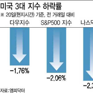 관세왕 트럼프의 그린란드 야욕에 재점화된 '셀 아메리카'