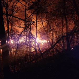 부산 기장군 산불 밤새 이어져…진화율 65%