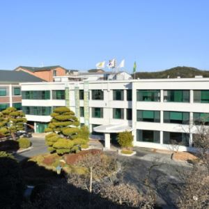 ‘효도수당’도 지급? “설 명절에 20만원 드려요”…지원 대상은