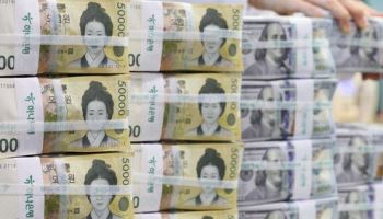 "한국 가장 큰 위험은 환율"…경제전문가들 우려 쏟아져