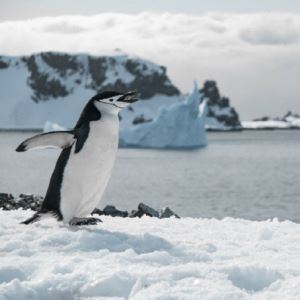 “초봉 5900만원, 모든 생활비 지원” 파격 공고…어디길래?