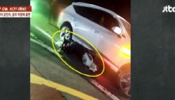 “놀랬잖아 XXX아” 애들 태우고 사망 사고 낸 만취女, 결국