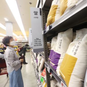 쌀값 안정 위해 쌀 시장격리 보류·가공용 6만t 공급[食세계]