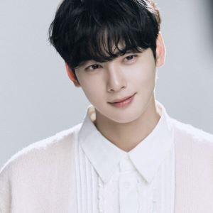 '200억 탈세 의혹' 차은우 직격한 변호사…"법인 명의여도 개인 소득"