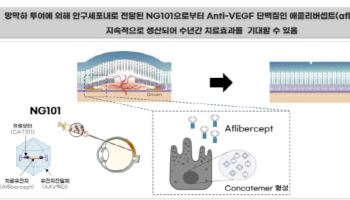 "경쟁사 황반변성치료제 치료 효과 수개월...NG101, 최소 5년 지속"[엘리시젠 대해부②]