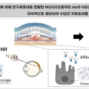 "경쟁사 황반변성치료제 치료 효과 수개월...NG101, 최소 5년 지속"[엘리시젠 대해부②]
