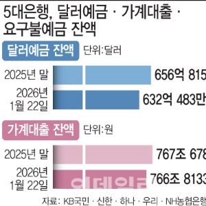 “달러예금 빠지고 가계대출도 줄었다”…증시 호황에 자금 이동 ‘본격화’