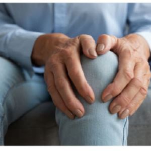 삼일제약, 연골 되돌리는 로어시비빈트로 수천억 '잭팟' 꿈꾼다