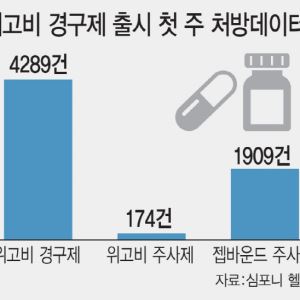 '먹는 위고비' 출시 직후 예상 상회…디앤디파마텍, 몸값도 뛴다