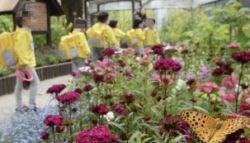 유치원 숲체험 갔던 4살 아이, 바다서 익사…교사 '유죄'에 교육계 반발