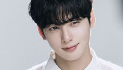 ‘200억 탈세 의혹' 차은우, 광고계 이어 국방부도 손절