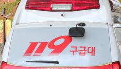 구급차 타고 '임장' 다닌 소방관들..."차에서 담배도 뻑뻑"