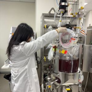 듀셀, 세계 최초 50ℓ 규모 배양기서 인공혈소판 생산 성공