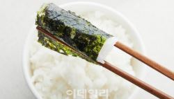 “마른김 1장에 100원” 수출 대박이 밥상 쪽박 됐다