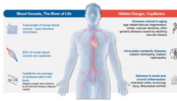 CellBioN, Quracle Spark Commercialization Hopes[K-bio Pulse]