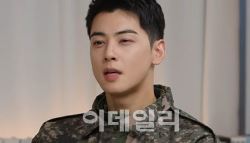 ‘탈세' 차은우를 둘러싼 오해…‘형사처벌' 대상 아니다[only 이데일리]