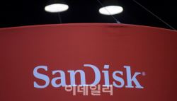 1년간 주가 1543% 폭등…요즘 S&P500서 가장 뜨거운 '이 종목'