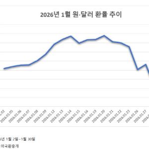 연초 롤러코스터 탄 환율…日총선·美물가에 2월 추가 하락 미지수