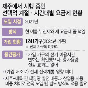 가정도 장기적으로 ‘계절·시간별 요금제’ 검토