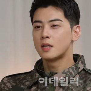 200억대 탈세, 조세삼판원서 486일 걸려…차은우 제대 후 결론