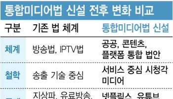 넷플릭스 시대, 낡은 방송법을 깨다…'통합미디어법'으로 판 다시 짠다
