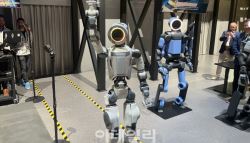 아틀라스 파란에 몸값 150조 넘본다…정의선의 여의주 주목