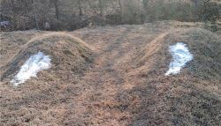 제 눈에만 보이는...남의 묘 11기에 소금 뿌린 60대가 한 말