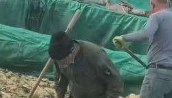 한국도 수입하는데 경악...중국 '재떨이 배추' 공장, 결국