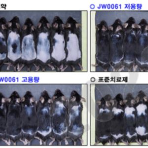 “빠진 머리 다시 자라게 한다?”…JW중외제약, ‘모낭 재생’ 탈모 신약 판 흔든다