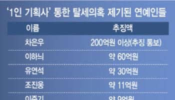 전수조사 못하는 ‘1인 기획사’ 탈세…사전안내 강화해 막아야