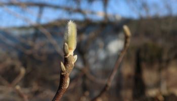 “강추위 물러가나”…입춘 맞아 전국 영상권 날씨에 포근[오늘 날씨]