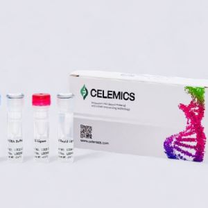 Celemics hits limit before after hours filing[K-Bio Pulse]