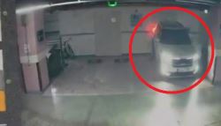 기어 ‘후진' 놓고 내렸다가…차·벽 사이 낀 20대女 중상	