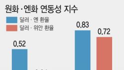 “금리·자금 이동에 더 민감”…원화, 달러보다 엔화에 달렸다
