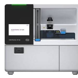 ASF outbreak lifts Komipharm...Biodyne gains spotlight[K-Bio Pulse]