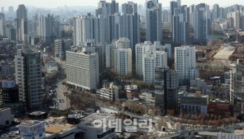 '세입자' 낀 다주택자 매물, 임대차 종료까지 실거주 유예 검토